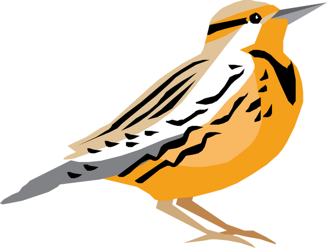 Meadowlark Bird Icon  